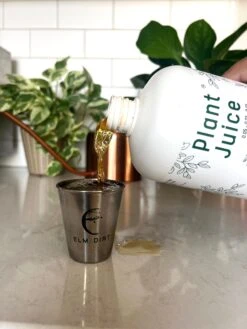 Elm Dirt Plant Juice -Blooming Fruit Tree Shop IMG 6513