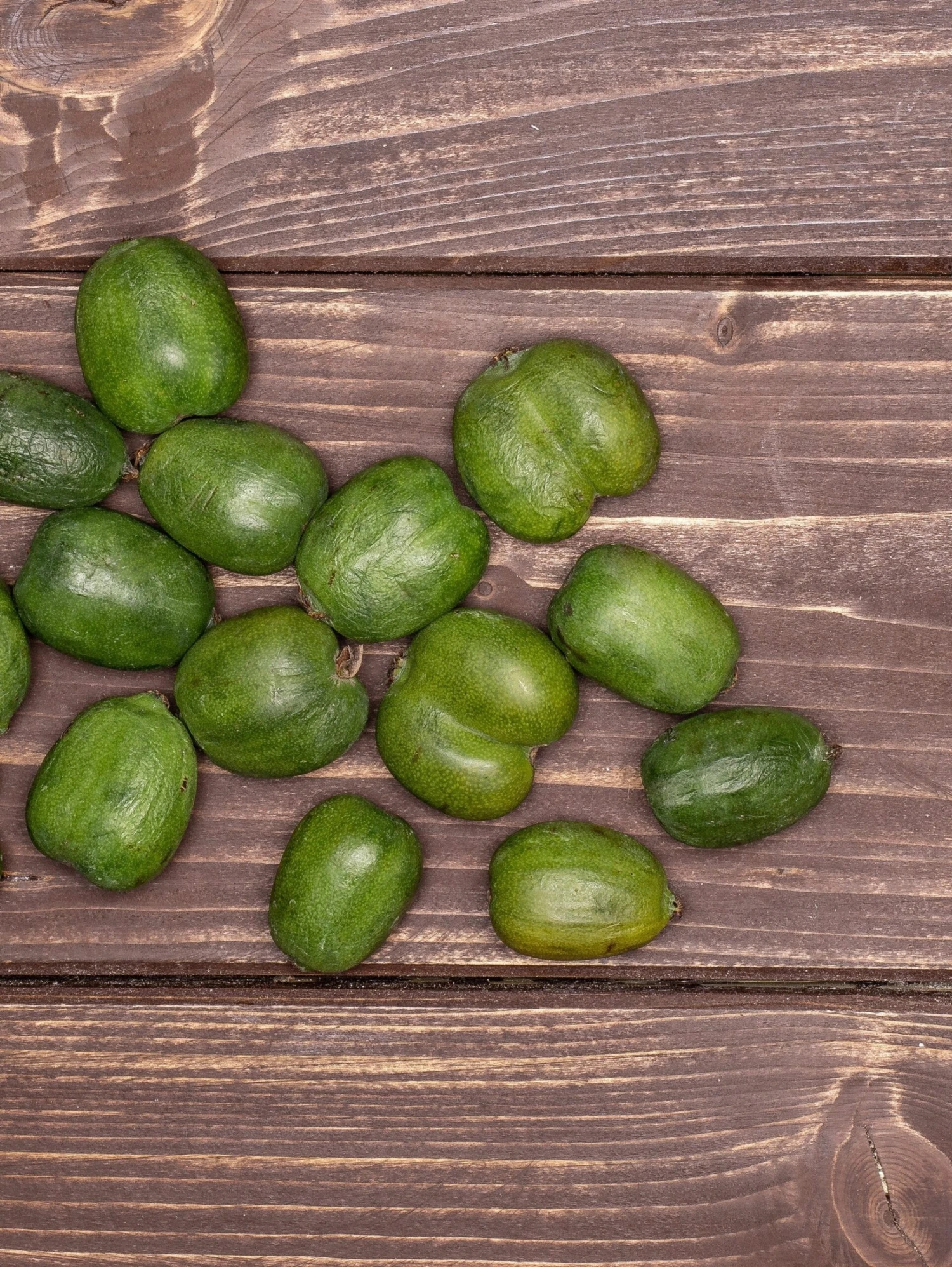 Chang Bai Hardy Kiwi 1 Chang Bai Hardy Kiwi